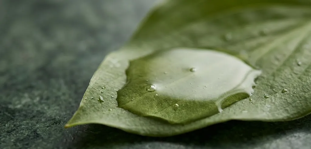 A Stack Worth Knowing About