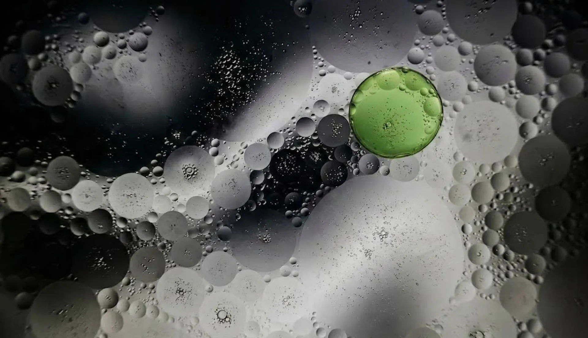 Beyond the Powerhouse