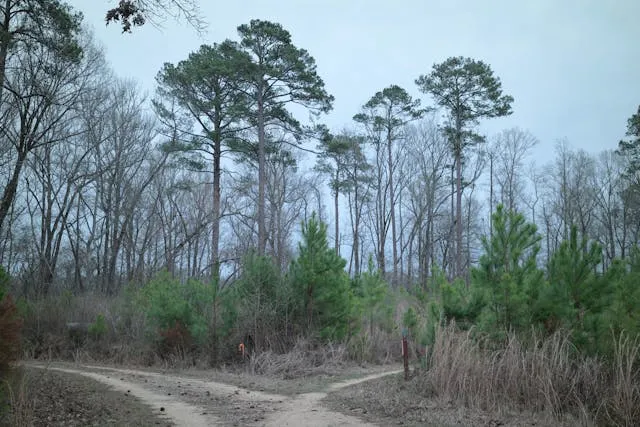 Moonshine and Freezer-Burned Deer Meat