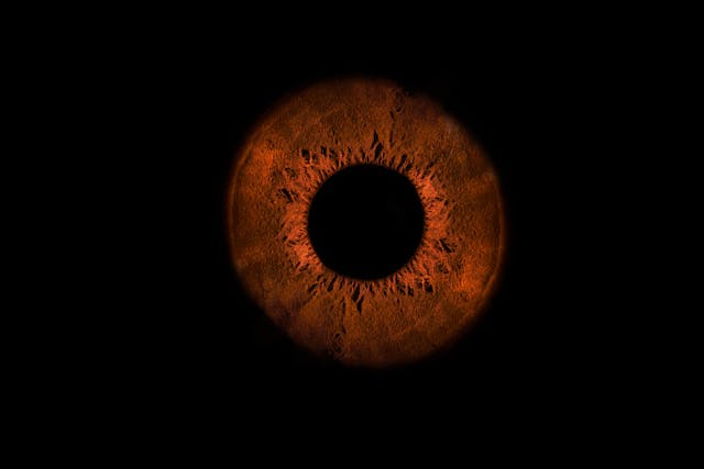 Solar/Circadian Rhythm