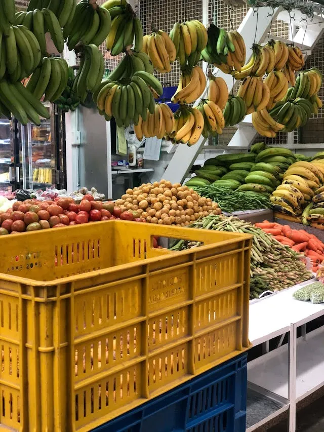 Resistant starch improves visceral fat