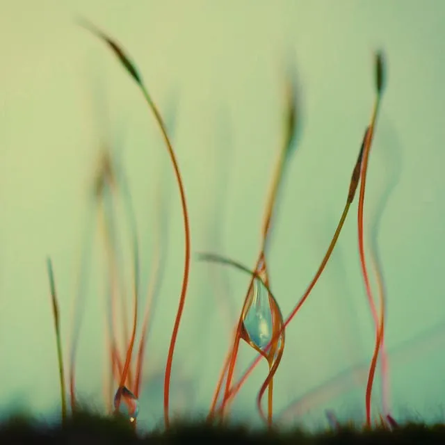 Sleep Is Detox Time for Your Brain