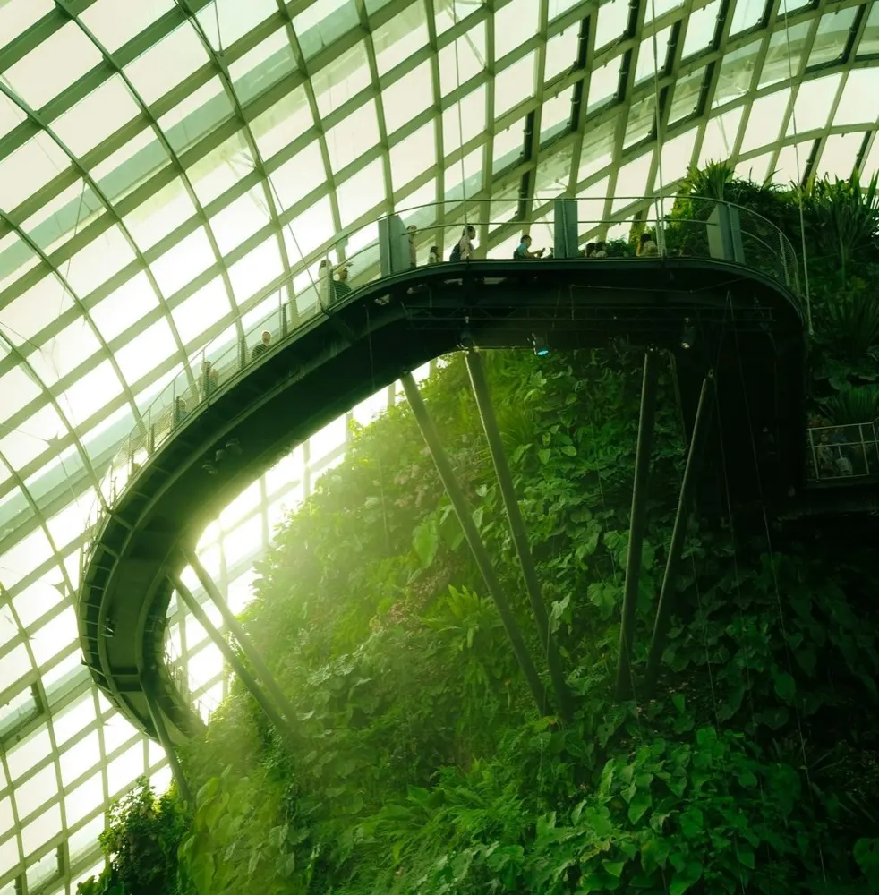 Soul - Meditation and mental wellness