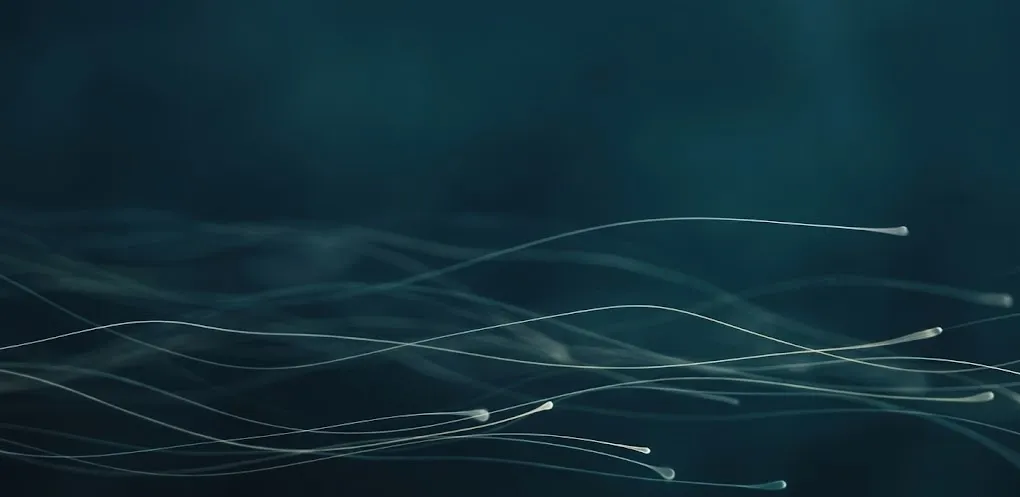 The Wisdom of David Sinclair