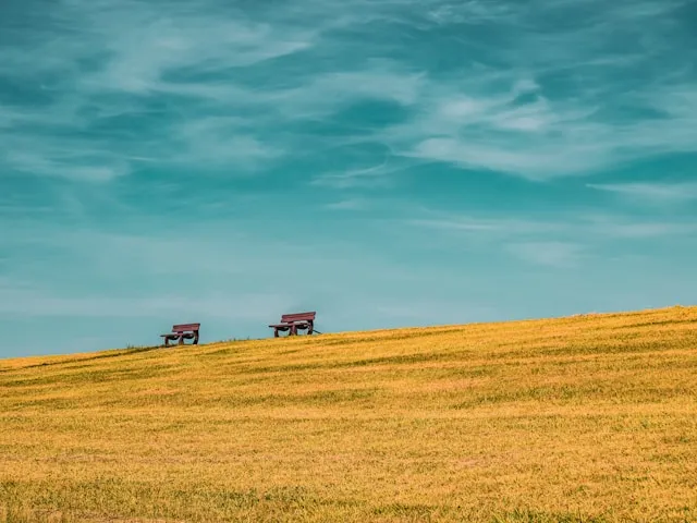 Think Twice - Second Opinion